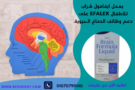 ايفامول شراب للأطفال لدعم صحة المخ ووظائف الدماغ الحيوية