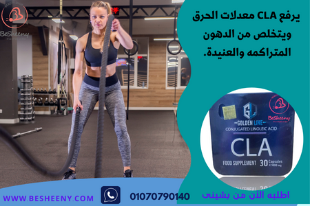 كبسولات CLA للتخلص من السمنة - CLA 30 capsule