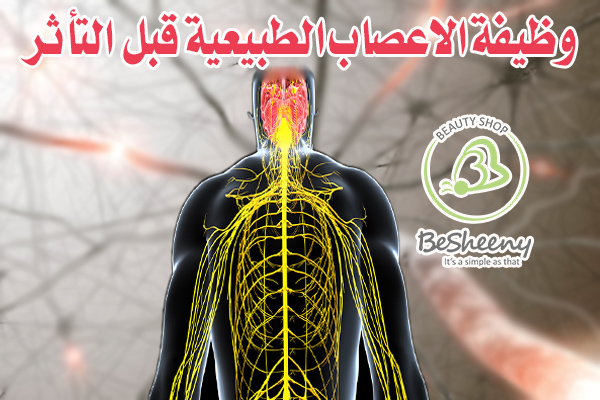 الإحساس باللمس، الألم، والحرارة في اليدين والقدمين.