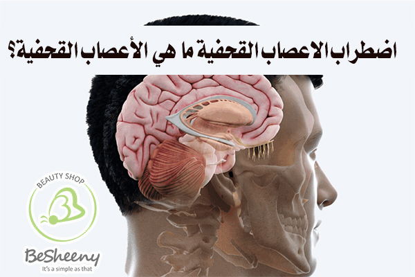 الأعصاب القحفية مجموعة مكونة من 12 عصبا. تنقل الإشارات الكهربائية بين الدماغ وأجزاء مختلفة من الرأس