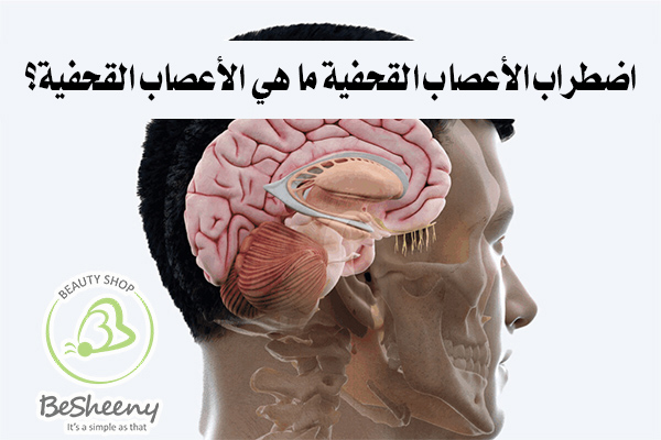 الأعصاب القحفية مجموعة مكونة من 12 عصبا. تنقل الإشارات الكهربائية بين الدماغ وأجزاء مختلفة من الرأس