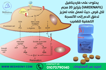 ليفيترا برطمان تعمل على تعزيز تدفق الدم إلى الأنسجة الكهفية للقضيب