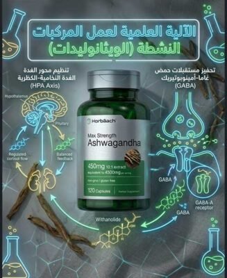 الآلية البيولوجية لعمل (الويثانوليدات) في "عشبة القضاء على التوتر"