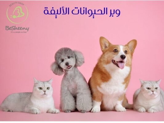 وبر الحيوانات الأليفة