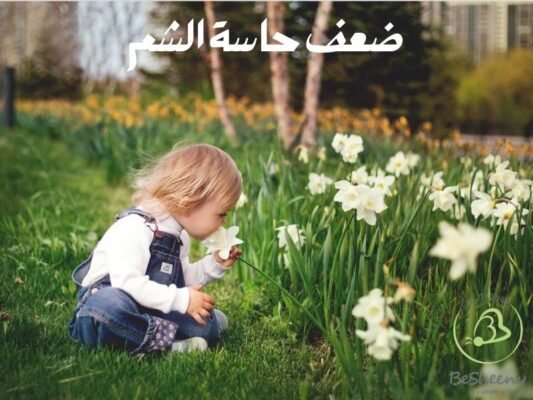 ضعف حاسة الشم