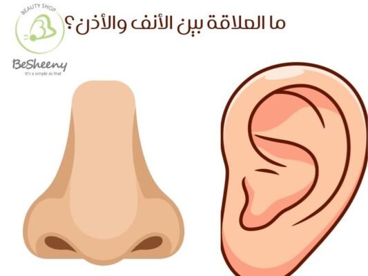 ما العلاقة بين الأنف والأذن؟