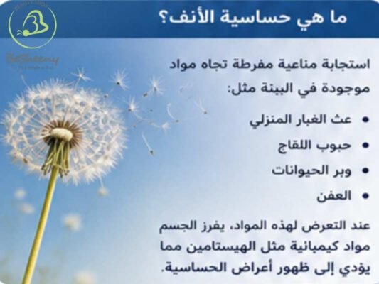 حساسية الانف