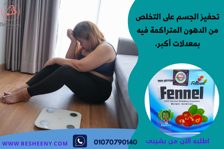 كبسولات فينيل الألمانية للتخسيس Fennel