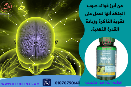 جنكو بيلوبا كبسول لزيادة التركيز ووظائف الإدراك والصحة العقلية