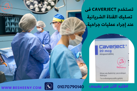 يساهم في دعم صحة الشرايين والدورة الدموية.