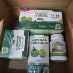 جارسينيا كمبوجيا كورس نسف الدهون