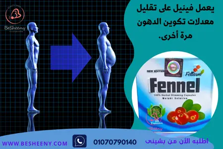 كبسولات التخسيس فينيل من شركة Fettarm