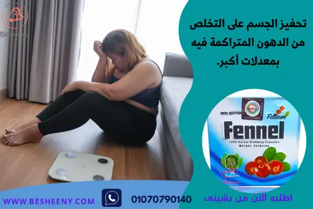 كبسولات فينيل الألمانية للتخسيس Fennel