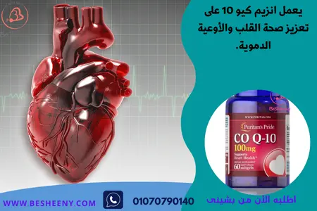 كو كيو انزيم لصحة القلب والاوعية الدموية - co enzyme q10